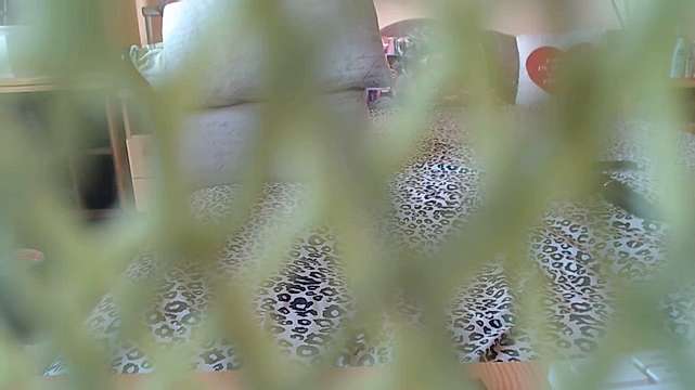 Lilimar1 naked stripping on cam for live sex video chat