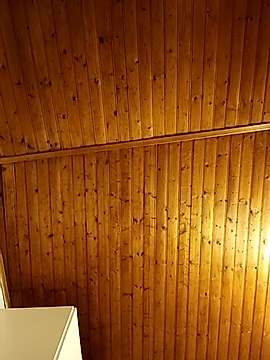 eva750 naked stripping on cam for live sex video chat