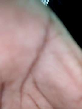 X_Lily naked stripping on cam for live sex video chat
