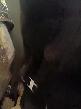 jannat100 naked stripping on cam for live sex video chat