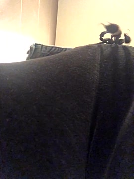 _streetgirl naked stripping on cam for live sex video chat